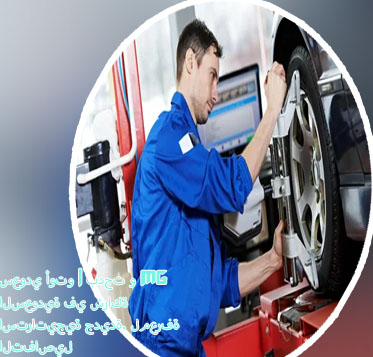 عدد سيارات اسطول بدجت
