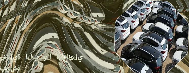 تأجير سيارات بيشة