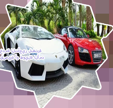 تأجير سيارات دبي